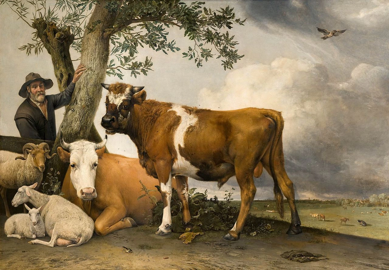 Il toro - Building Mauritshuis, L'Aia